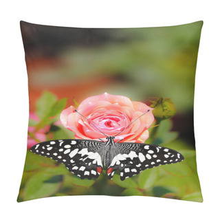 Personality  Beautiful Spotted Butterfly On A Pink Rose Flower Pillow Covers
