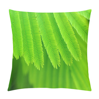 Personality  Acacia Leaves Pillow Covers
