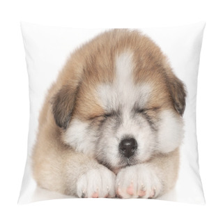 Personality  Akita Inu Puppy Sleep Pillow Covers