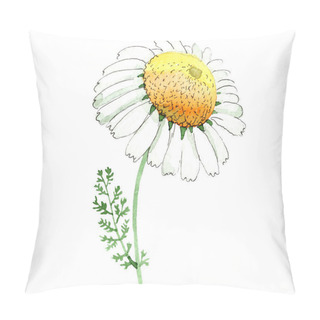 Personality  Chamomile Flower. Spring White Wildflower Isolated. Watercolor Background Illustration Set. Watercolour Drawing Fashion Aquarelle Isolated. Isolated Chamomile Illustration Element. Pillow Covers