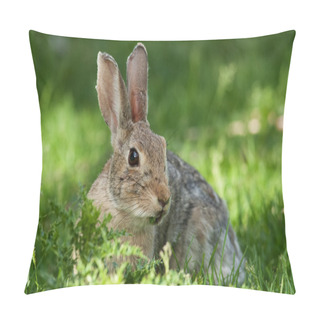 Personality  Wild Rabbit Pillow Covers