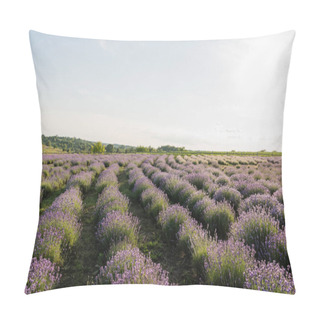 Personality  Blooming Lavender Flowers On Field In Farmland Pillow Covers