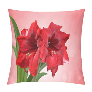 Personality  Red Amaryllis Flower With Green Leaves. Pillow Covers