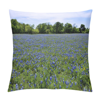 Personality  Field Of Texas Bluebonnets Pillow Covers