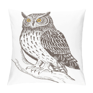 Personality  Realistic Image Of Owl Pillow Covers
