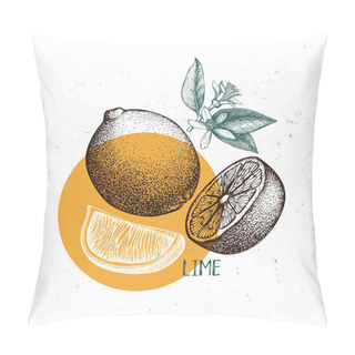 Personality  Lime Vintage Design Template. Botanical Illustration. Engraved Vector Drawing. Citrus Fruit. Pillow Covers