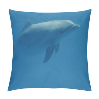 Personality  Blue Dolphin Pillow Covers