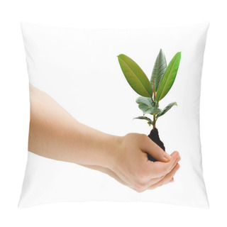 Personality  Female Hand Holding A Green Plant Pillow Covers