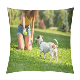 Personality  Partial View Of Young Woman Throwing Ball To Jack Russell Terrier Dog Pillow Covers
