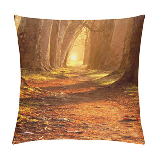 Personality  Magic Morning At The Park Pillow Covers
