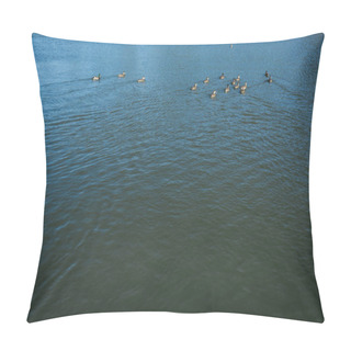 Personality  Flock Of Wild Ducks Swimming In Lake In Summertime  Pillow Covers
