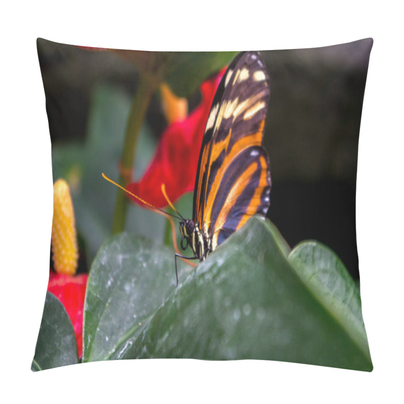 Personality  Heliconius Ismenius, The Ismenius Tiger Or Tiger Heliconian Pillow Covers