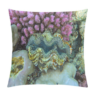 Personality  Giant Clam (Tridacna Gigas) Between Corals In Tropical Sea  Pillow Covers