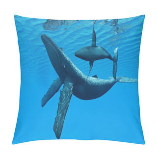 Personality  Humpback Whale Bonding Pillow Covers