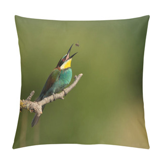 Personality  European Bee Eater Catching A Bee  Pillow Covers