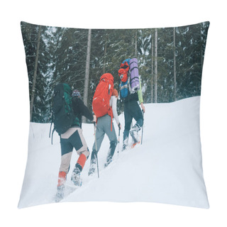 Personality  Climbers Pillow Covers