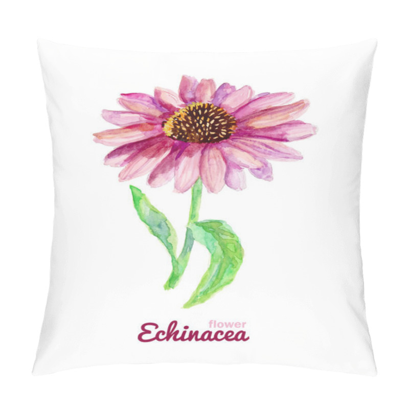 Personality  Watercolor Medicinal Flower Of Echinacea Pillow Covers