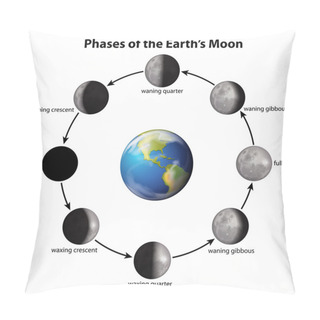 Personality  Phases Of The Earth's Moon Pillow Covers