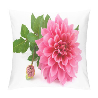 Personality  Pink Dahlia Isolated On White Background Pillow Covers
