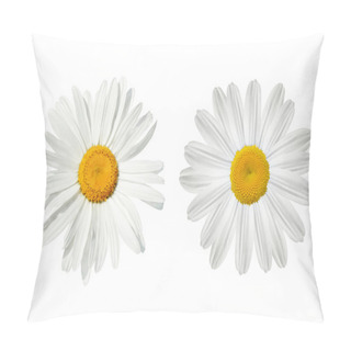 Personality  Daisy Over White Pillow Covers