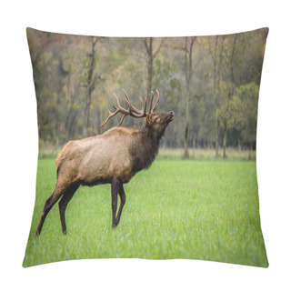 Personality  Trophy Class Bull Elk Pillow Covers