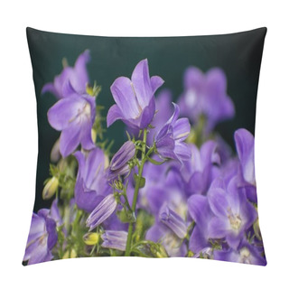 Personality  Details Of Bright Wild Campanula Flowers With Dark Background Pillow Covers