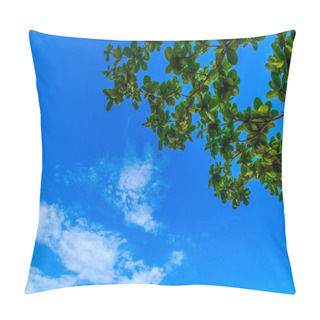 Personality  Clear Blue Sky With White Clouds. Cloudless Sky. Blue Sky With A Pillow Covers