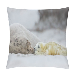 Personality  Very Cute Seals On The Beach On Dune Island Pillow Covers