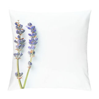 Personality  Violet Lavender Flowers Arranged On White Background. Top View, Flat Lay. Minimal Concept. Pillow Covers