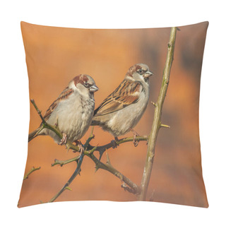 Personality  Two Sparrows Sitting On A Branch Of A Bush. Pillow Covers