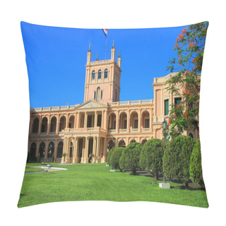 Personality  Presidential Palace In Asuncion, Paraguay Pillow Covers