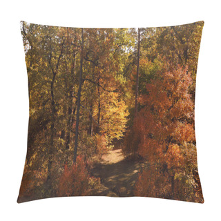Personality  Trees With Yellow And Green Leaves In Autumnal Park At Day  Pillow Covers