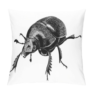 Personality  Earth-boring Beetle, Hand Drawn Vintage Black Ink Illustration Pillow Covers