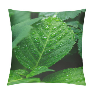 Personality  Dew Pillow Covers
