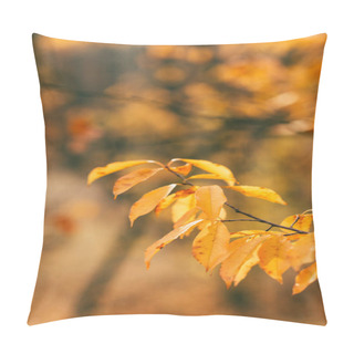 Personality  Orange Autumn Foliage On Blurred Background  Pillow Covers