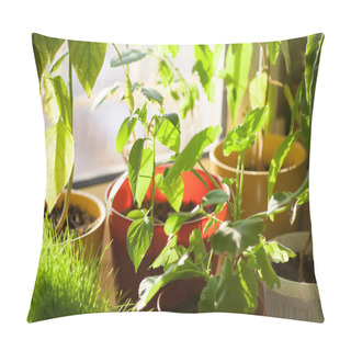 Personality  Potted Green Plants On Window Sill Indoors Pillow Covers