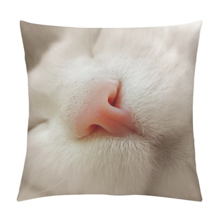 Personality  Sleeping Cat Pillow Covers