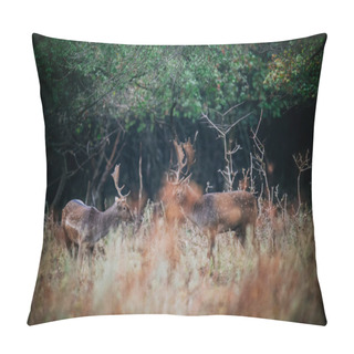 Personality  Deer Fighting On Tallgrass Field Pillow Covers