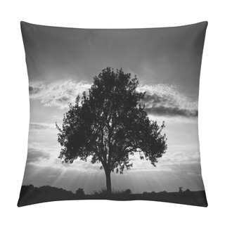 Personality  Tree In Black And White Pillow Covers