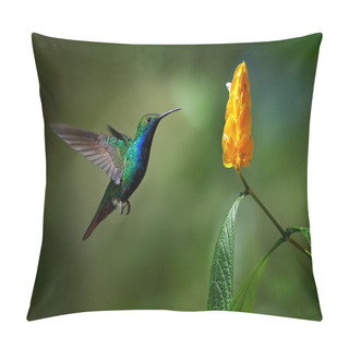 Personality  Green And Blue Hummingbird Pillow Covers
