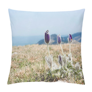 Personality  Spring Flowers  Pillow Covers