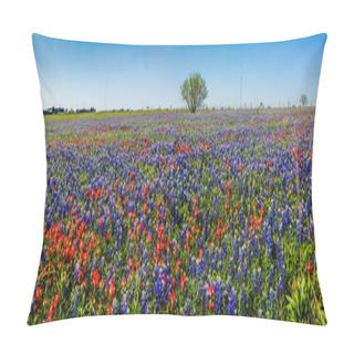 Personality  A Wide Angle High Resolution Panoramic View Of A Beautiful Field Of Texas Wildflowers. Pillow Covers