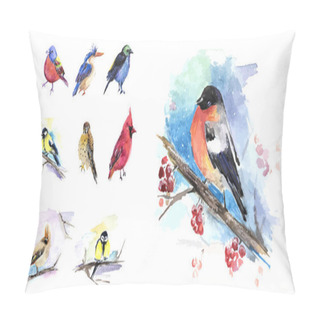 Personality  The Birds In Winter, Birds Set Of Watercolor Technique. Vector Pillow Covers