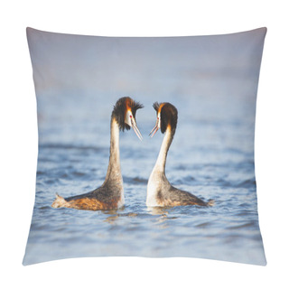 Personality  Great Crested Grebes Pillow Covers