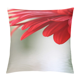 Personality  Red Flower Pillow Covers