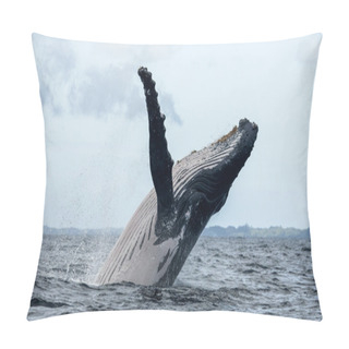 Personality  Whale Jumping In The Air Pillow Covers