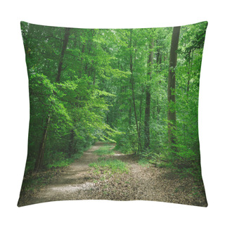 Personality  Path Between Trees In Green Beautiful Forest In Wurzburg, Germany Pillow Covers