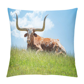 Personality  Texas Longhorn Lying Down In The Grass Against Blue Sky With Clouds Background. Copy Space. Pillow Covers