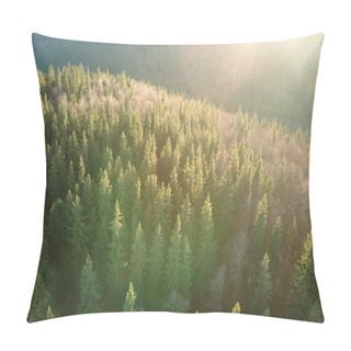 Personality  Aerial View Of Amazing Scenery With Light Beams Shining Through Foggy Dark Forest With Pine Trees At Autumn Sunrise. Beautiful Wild Woodland At Dawn Pillow Covers