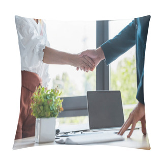 Personality  Selective Focus Of Employee And Recruiter Shaking Hands Near Green Plant  Pillow Covers